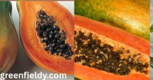 Fruit With Black Seeds