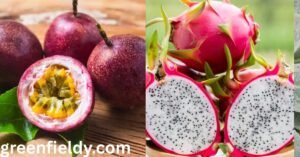 Fruit With Black Seeds