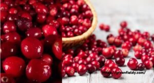 Cranberry Shortage