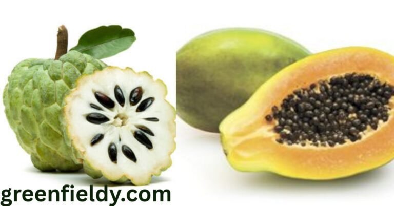 Fruit With Black Seeds