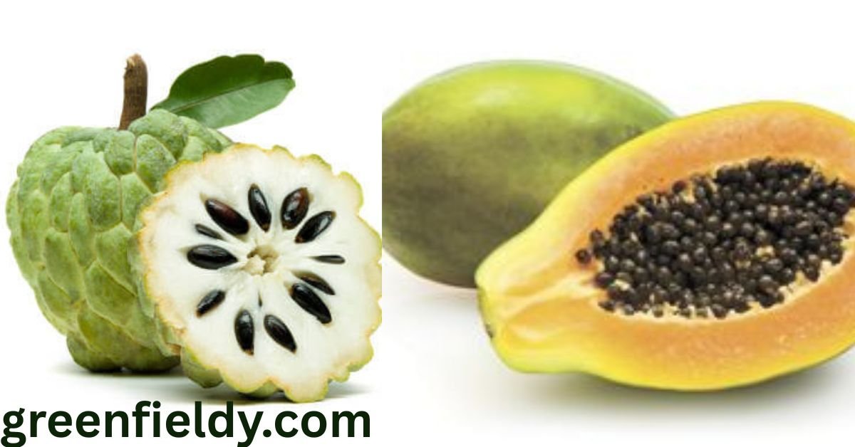 Fruit With Black Seeds