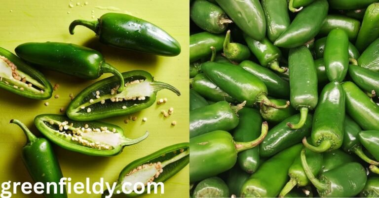 Jalapeno Shortage
