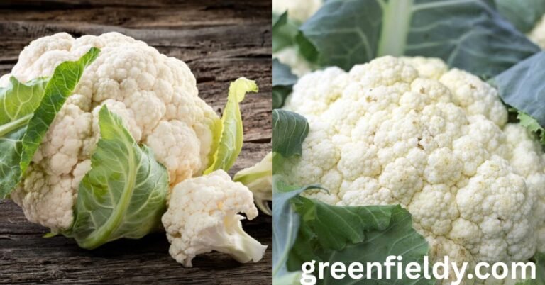 Cauliflower Shortage