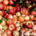 How to Grow Apples in Arizona