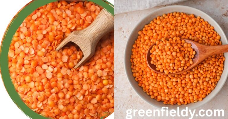 How to Grow Lentils