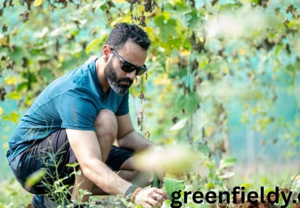 New Gardener Mistakes