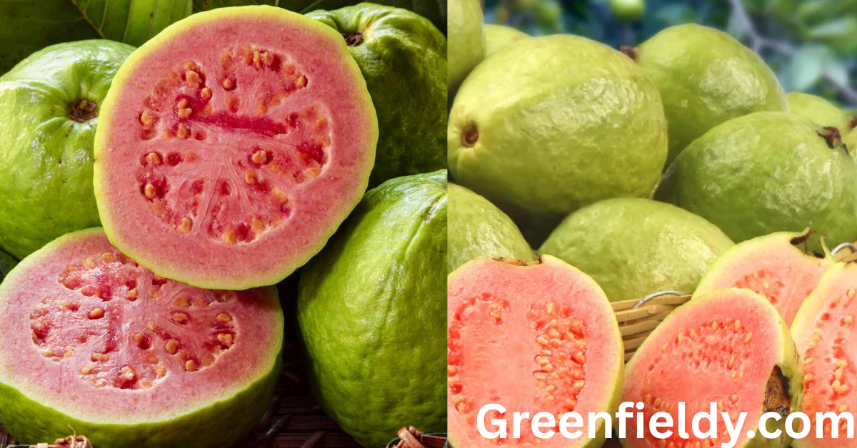 Fruits That Look Like Guava A Complete Guide to Similar-Looking Tropical Fruits