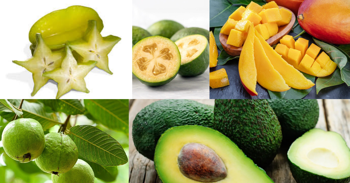 green fruit with yellow inside