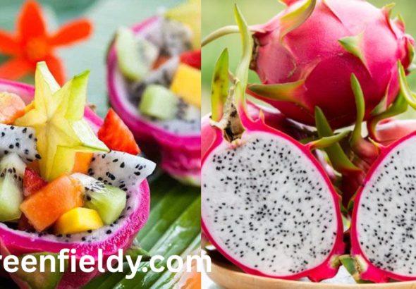 Dragon Fruit shortage