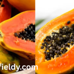 papaya shortage