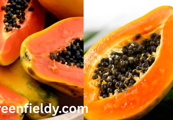papaya shortage