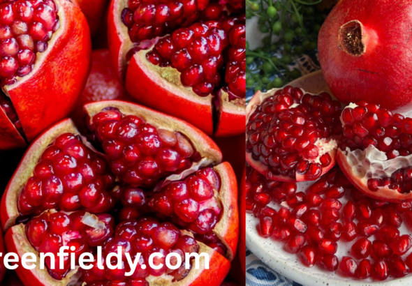 pomegranate shortage