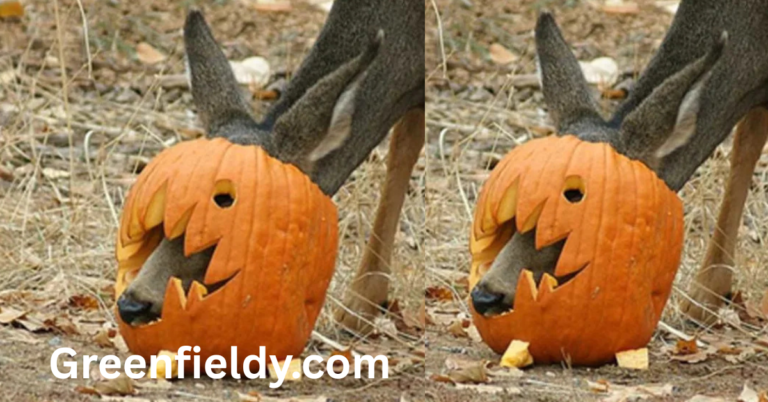 Do Deer Eat Pumpkins