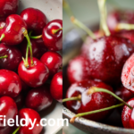 cherry season in Florida