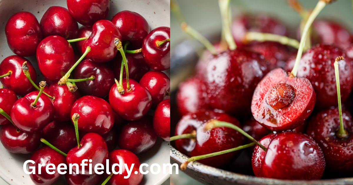 cherry season in Florida