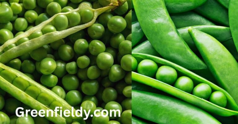 pea shortage