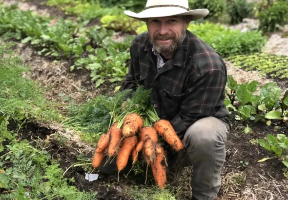 How to Plant Carrot Seeds