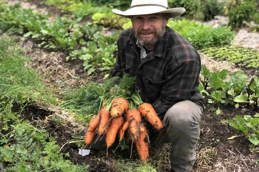 How to Plant Carrot Seeds