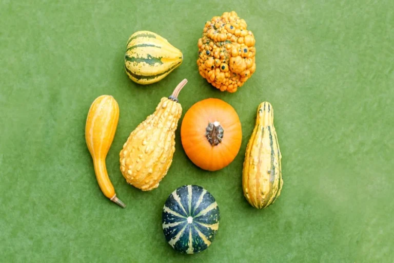 Squash