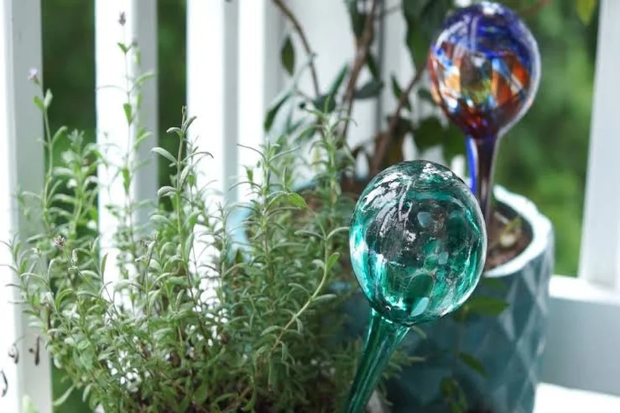  Watering Bulbs