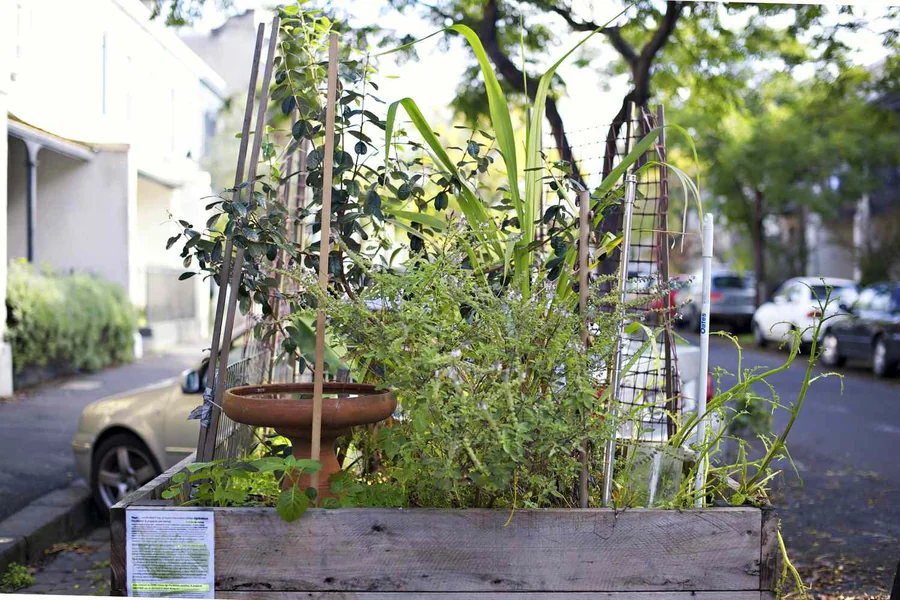 Guerilla Gardening