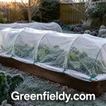 Garden Cover for Winter